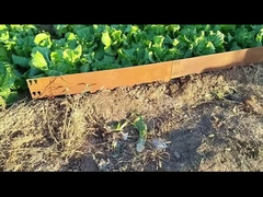 Frontière en acier galvanisée par 000mm*1.6mm*100mm de 1SGS Corten affilant la bordure de pelouse de Corten